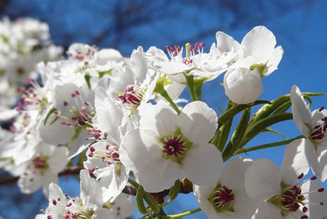 &nbsp;Bakıda 34 dərəcə isti olacaq&nbsp;