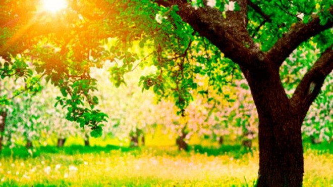 Sabha günəşin hərarəti artacaq