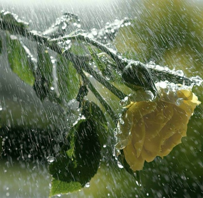 Sabah yağış yağacağı gözlənilir