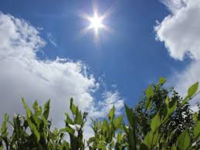 İyulun son günü küləkli hava olacaq