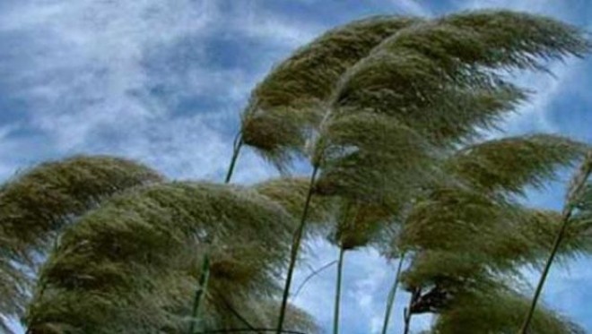 Sabaha hava küləkli olacaq