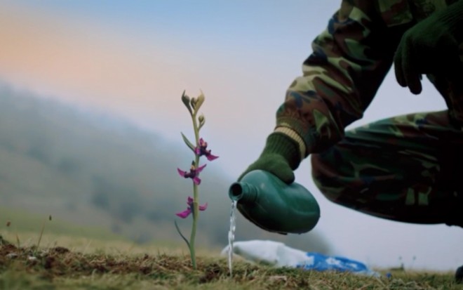 "Xarı bülbül" videoçaxı hazırlandı - video