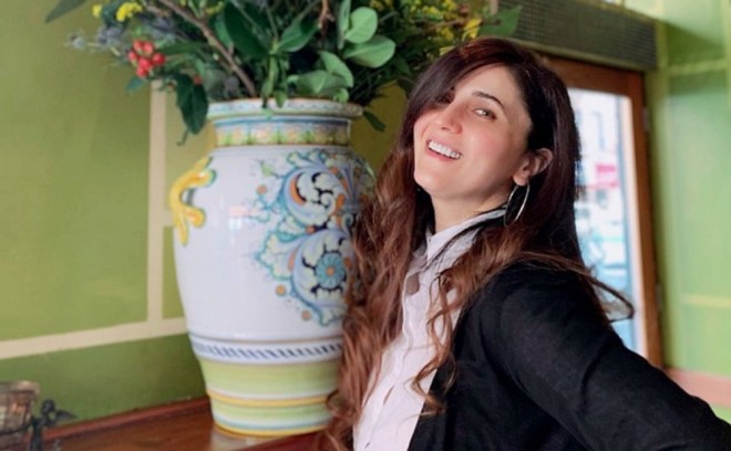 &nbsp;İlhamə vətənpərvərlik klipi çəkdirənləri qınadı