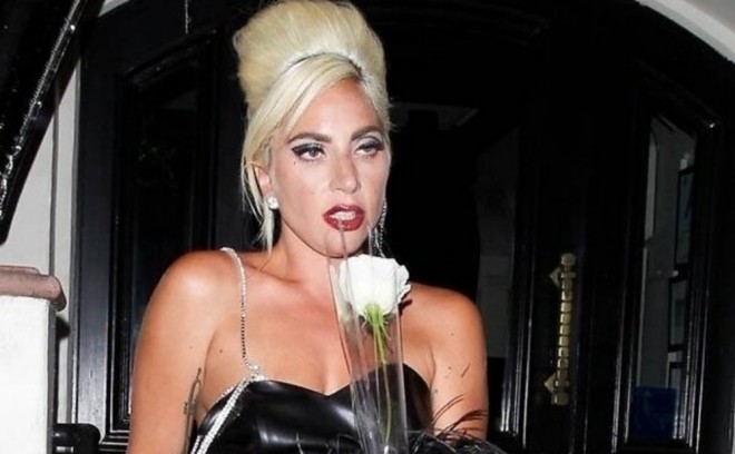 Ledi Qaqanın itlərinə görə 5 nəfər saxlanılıb





