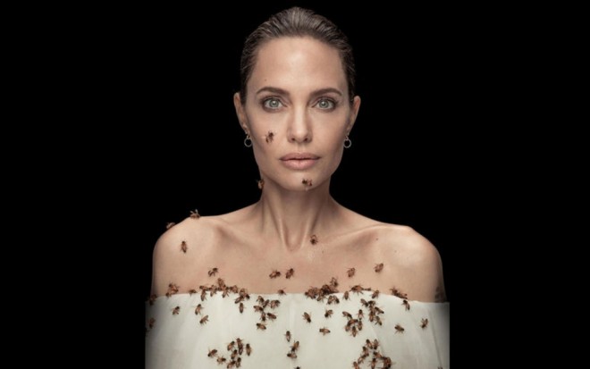 Arılar Hollivud ulduzunun bədəninə daraşdı