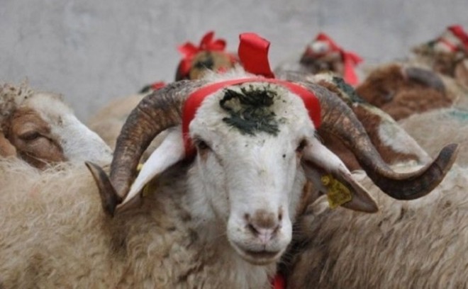 Azərbaycanda Qurban bayramıdır