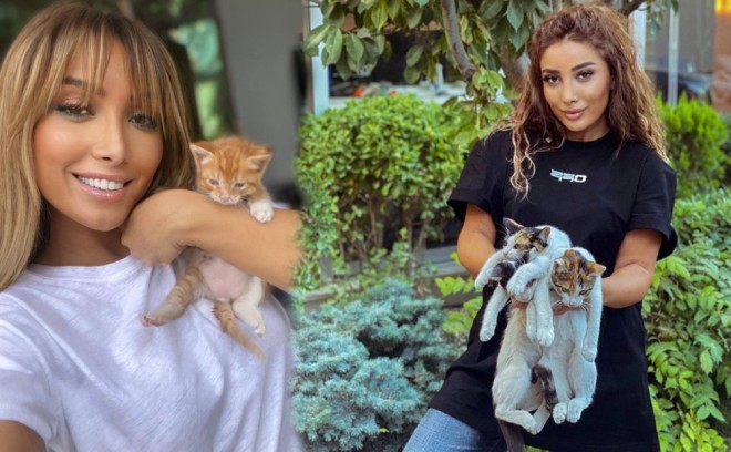 Günay evində 8 pişik saxlayır - foto