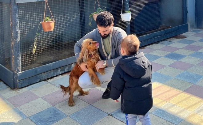 "Dünya Allahın qəzəbinə tuş gəlib..." - foto