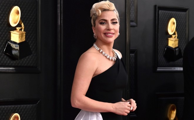 Ledi Qaqanın itlərini oğurlayana hökm çıxarılıb - foto
