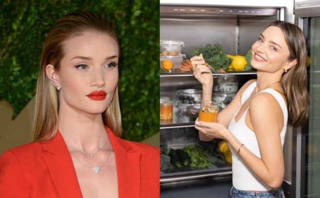 Model sağlamlığını necə qoruyur? 