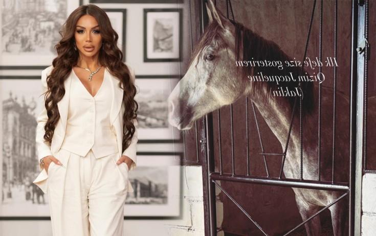 Müğənniyə at hədiyyə edilib - FOTO