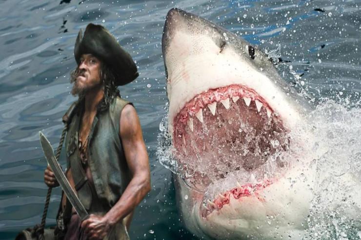 Aktyoru köpək balığı parçalayıb