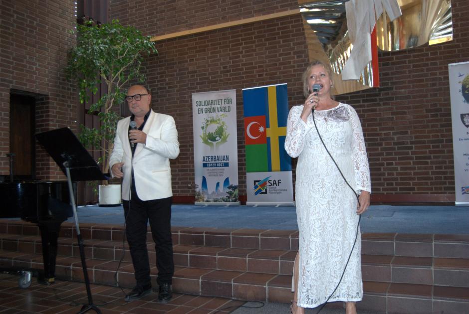 Stokholmda konsert təşkil edilib - VİDEO