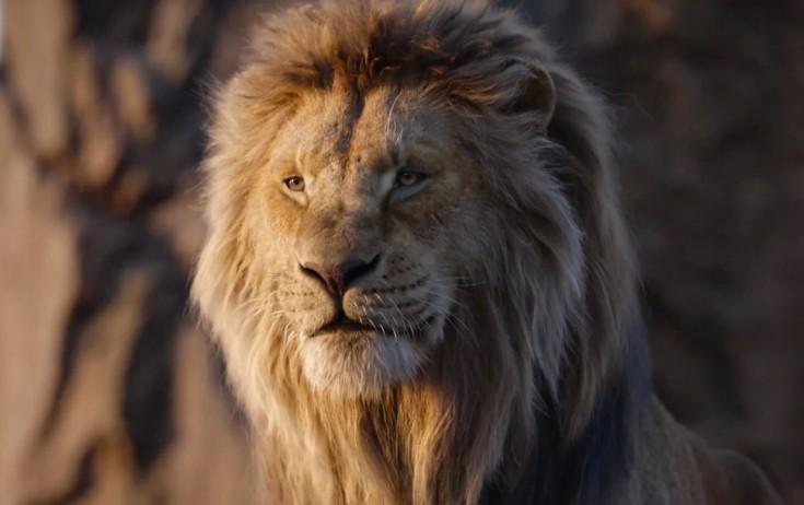 "Kral şir"in gəliri çox olub